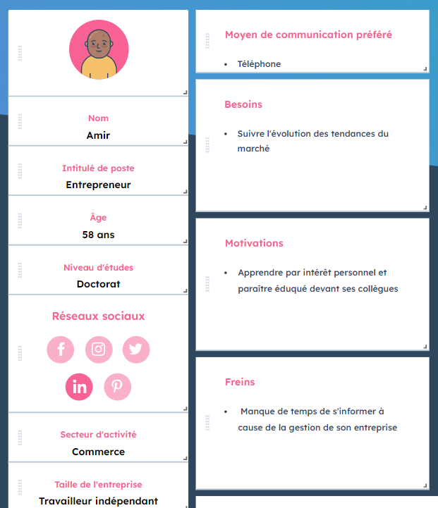 7 exemples de personas pour établir le profil de votre client idéal ...